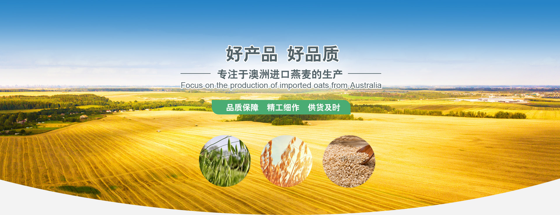 鄒城市高宗智智能溫室技術(shù)有限公司